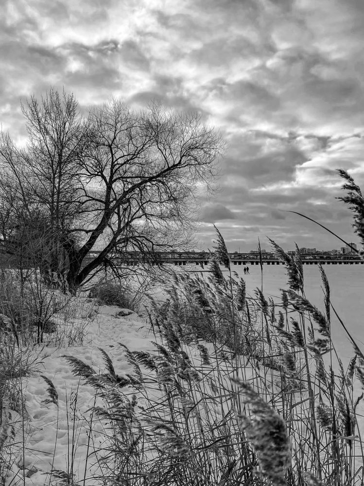 Photograph by Виктория Селютина