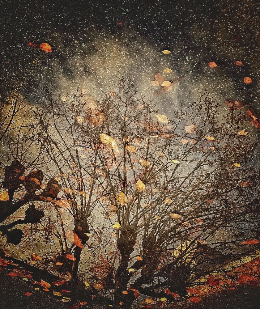 Photograph by Анастасия Куэлляр