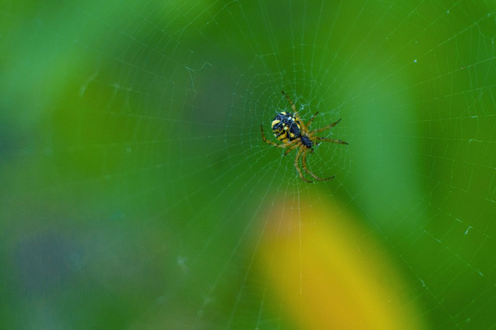 Photograph by Pavel Morozov