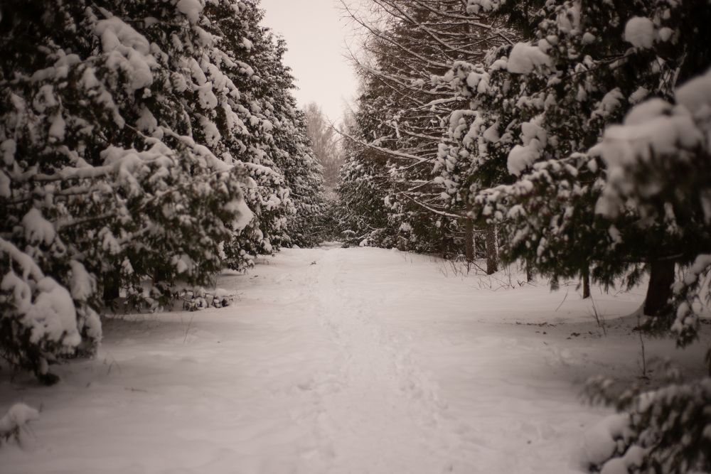 Photograph by Дарья Сергеева