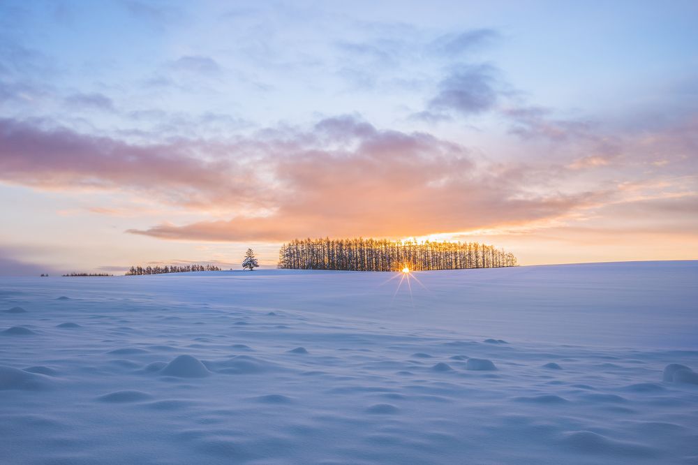 Фотография автора Nguyen Khac Tien