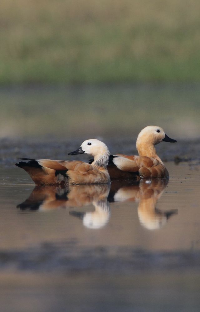 Photograph by Vikram Bahal