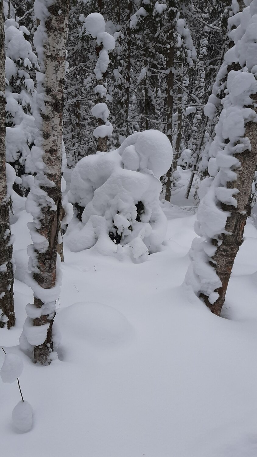 Photo #7029653