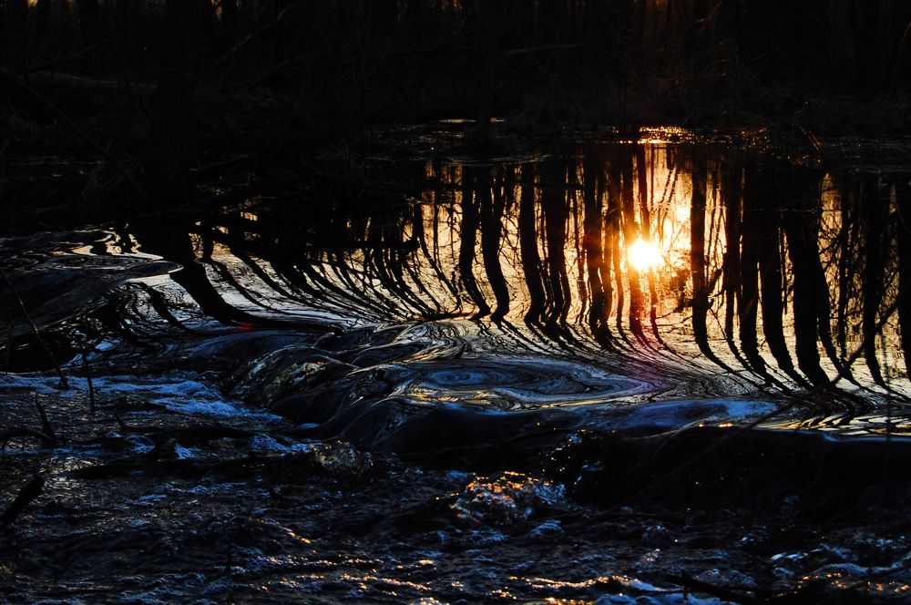 Photograph by Майя Синичкина