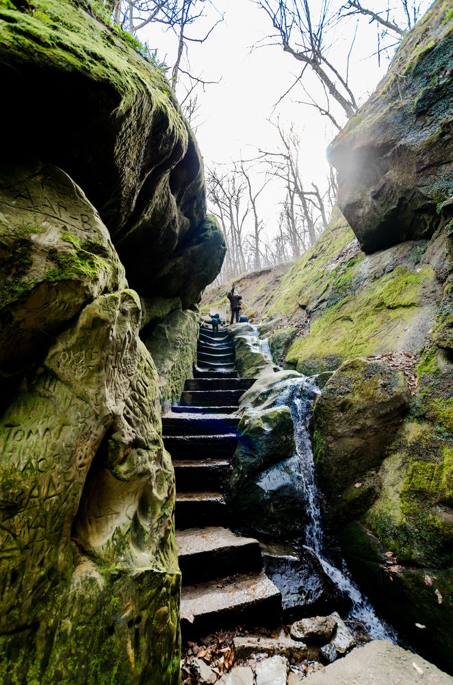 Photograph by Александра Рубан