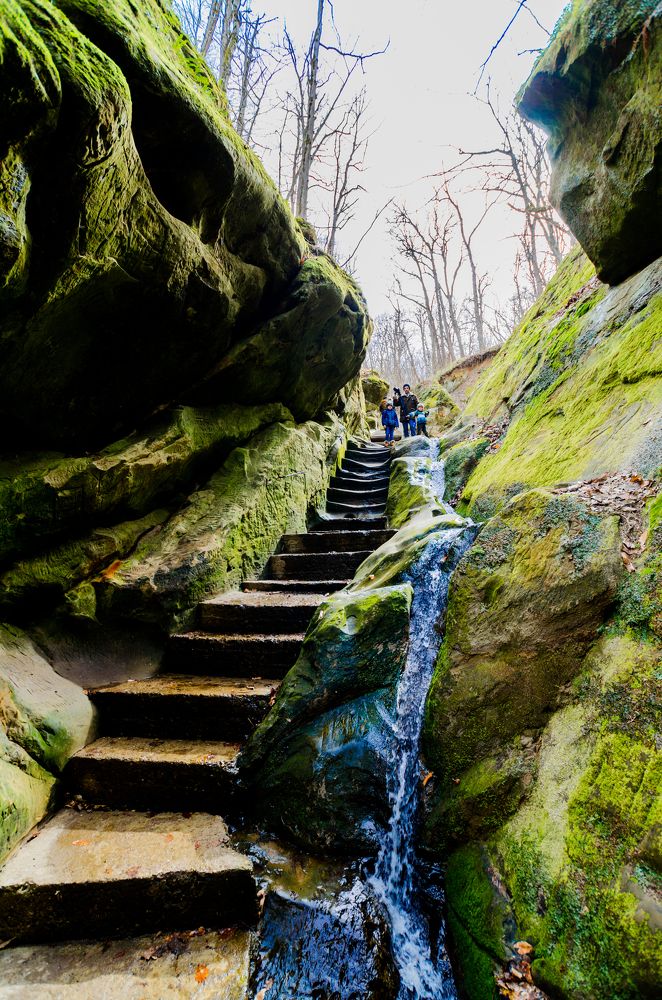 Photograph by Александра Рубан