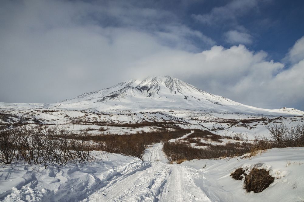 Прощание осени