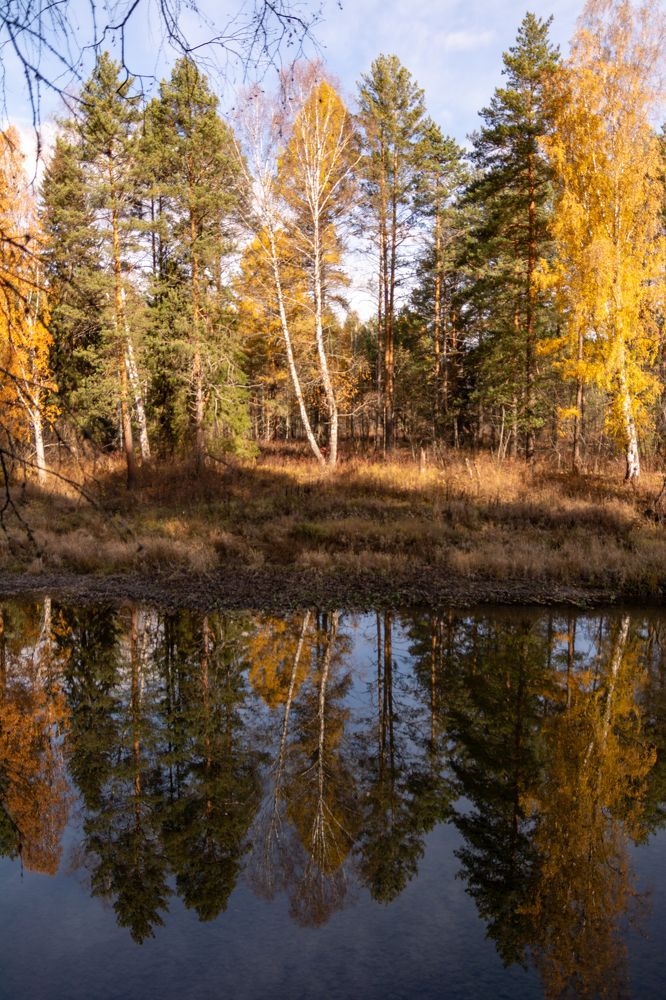 Photograph by Екатерина Устьянцева