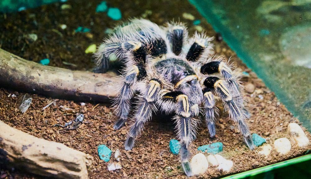 Фотография автора Вагуро Евгений