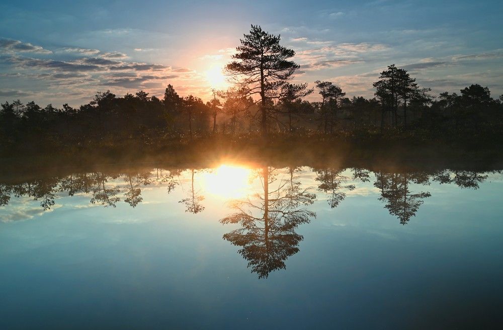 Photograph by Ija Reiman