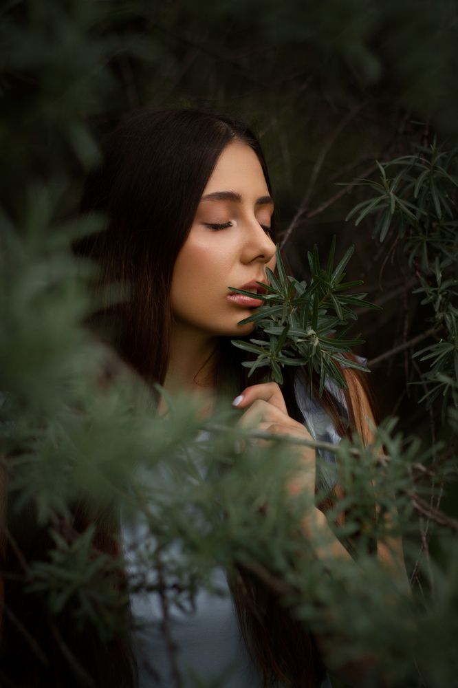 Запах облепихи