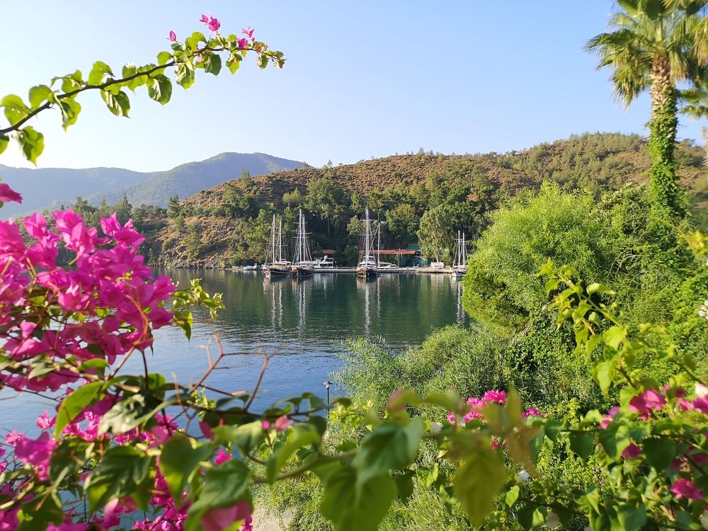 Photograph by Ekaterina Narozhnova