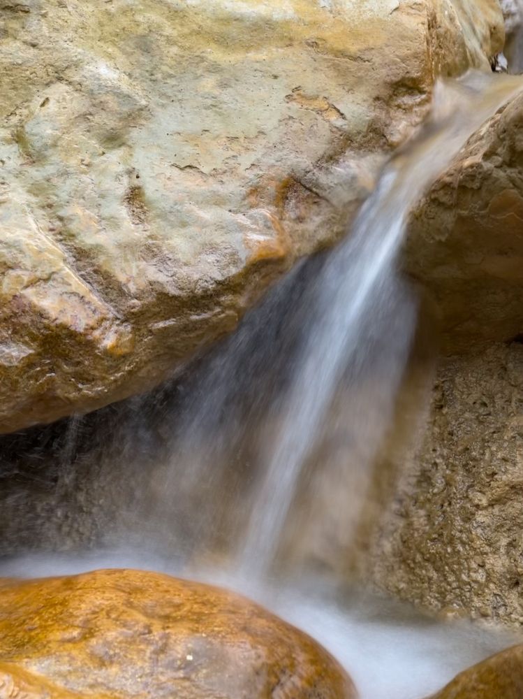 Photograph by Виктория Сметанина