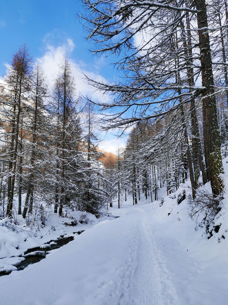 Photograph by Emőke Novák