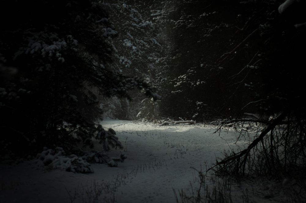 Photograph by Валерия Гончарова-Горобченко