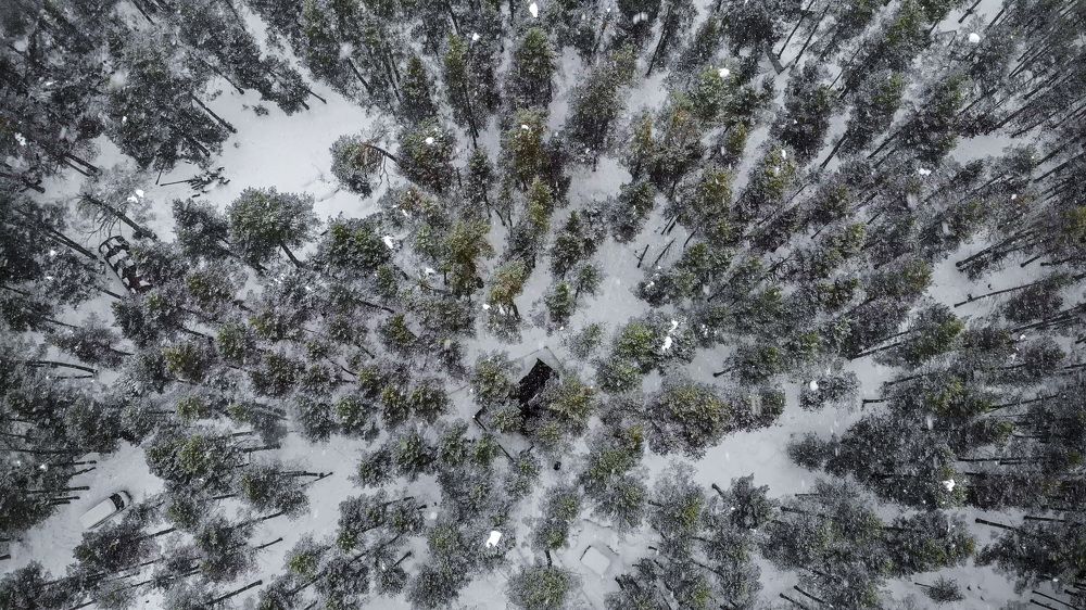 Photograph by Алексей Пожаренко