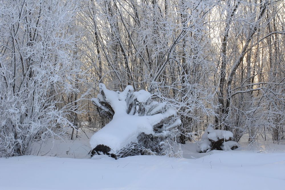 Photograph by Нина