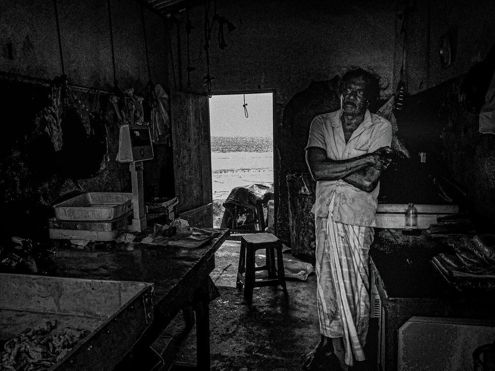 Photograph by pouyan safavi