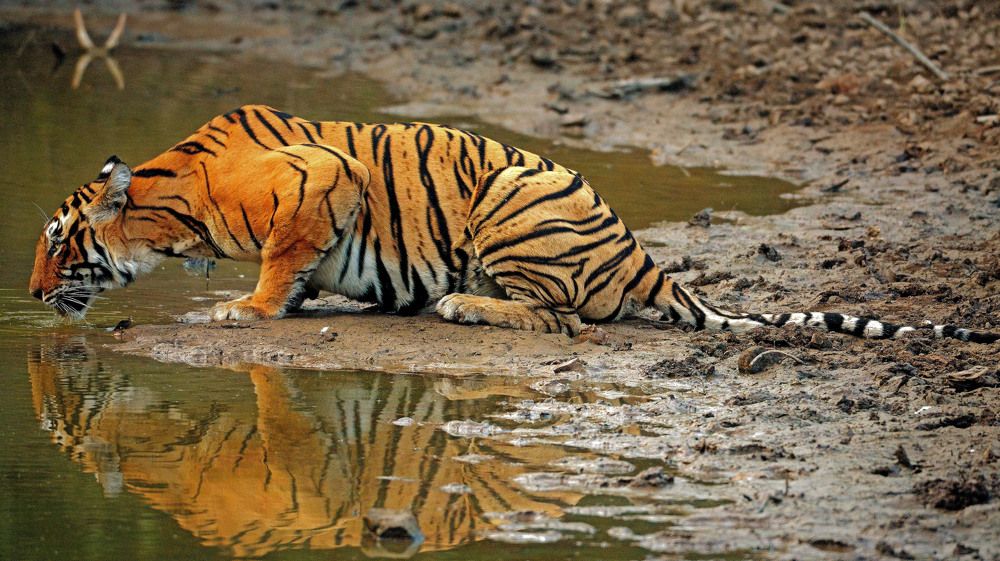 Photograph by Nirmalya Chakraborty