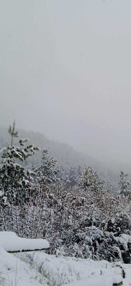 Photo #7030151