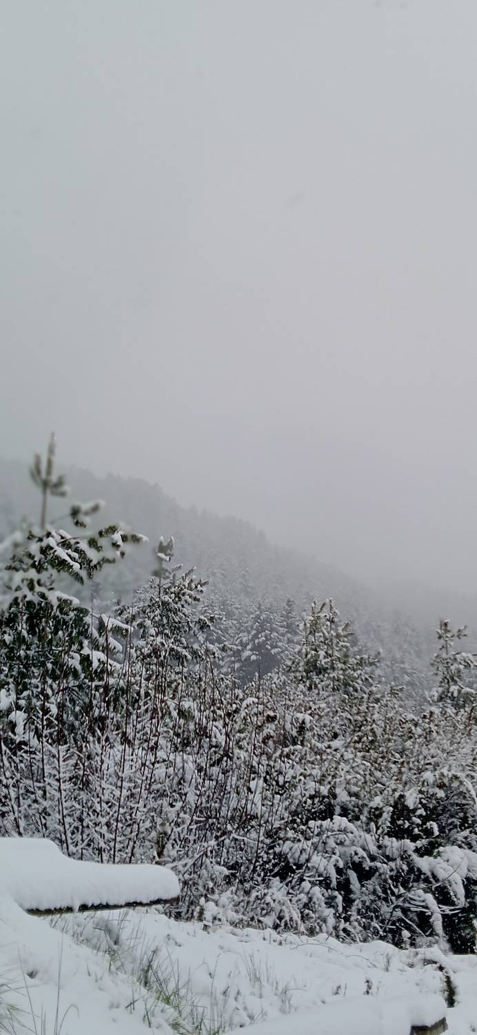 Photo #7030151