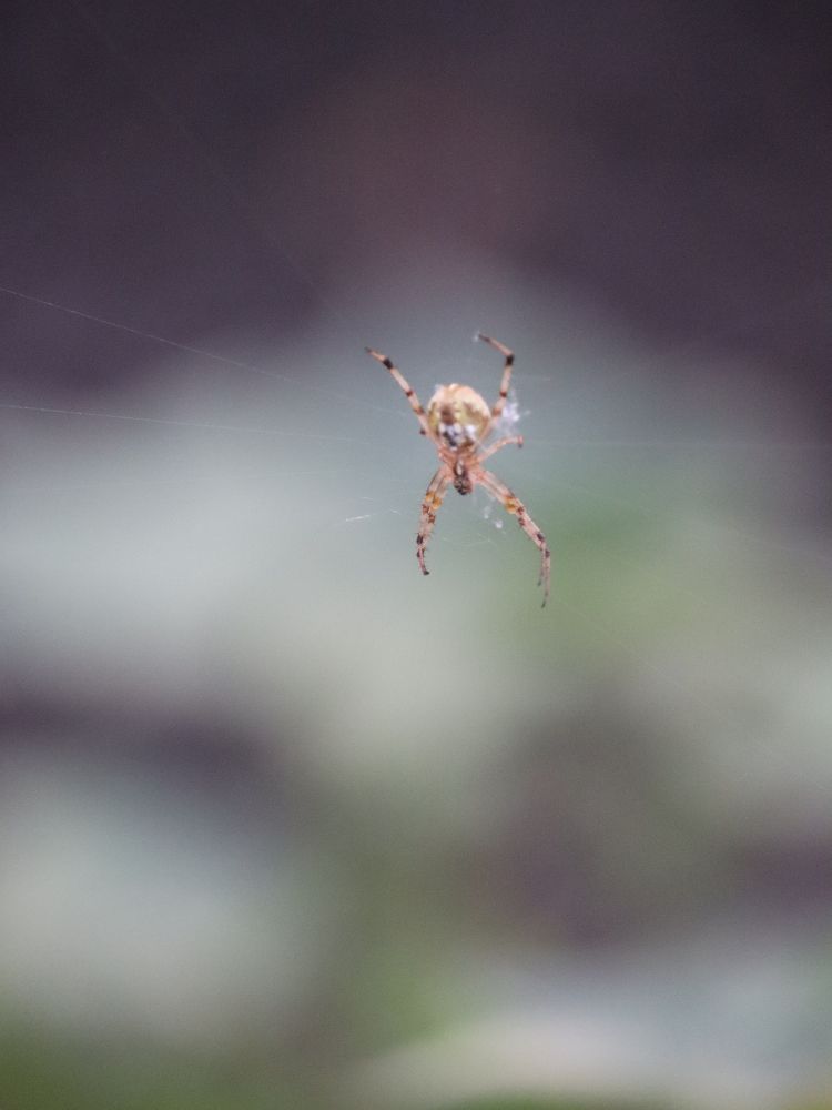 Photograph by Rishikesh Budhbhatti