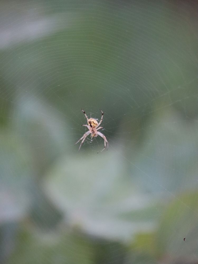 Photograph by Rishikesh Budhbhatti