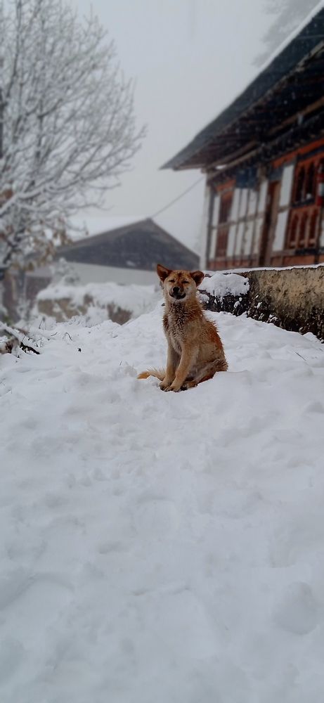 Photo #7030248