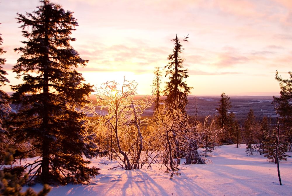 Photograph by Любовь Ершова