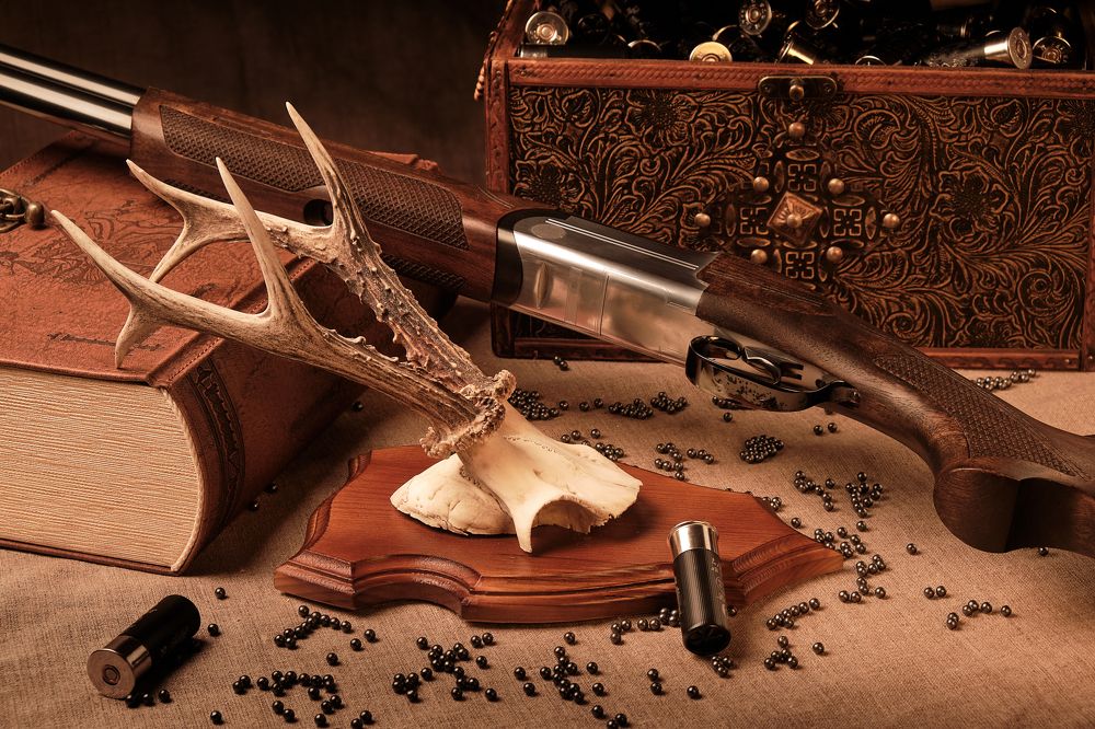 still life with a gun
