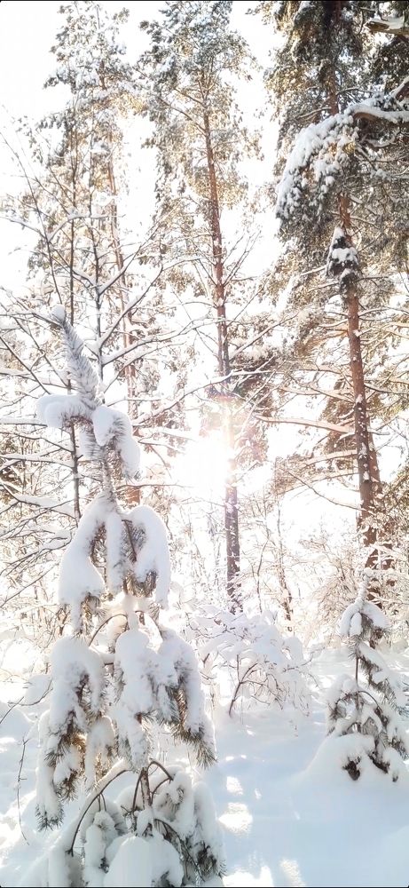 Photograph by Татьяна Смирнова