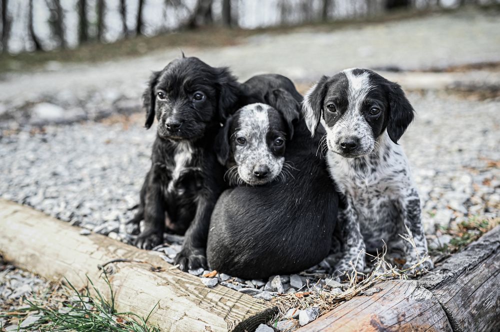 Photograph by Наталья Гришаева