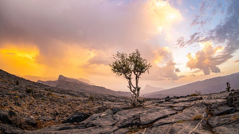 Photograph by Mahendra Pratap Singh