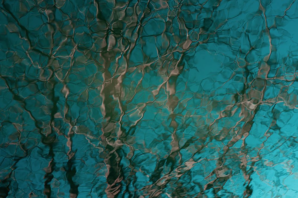 Фотография автора Наталья Дороднова