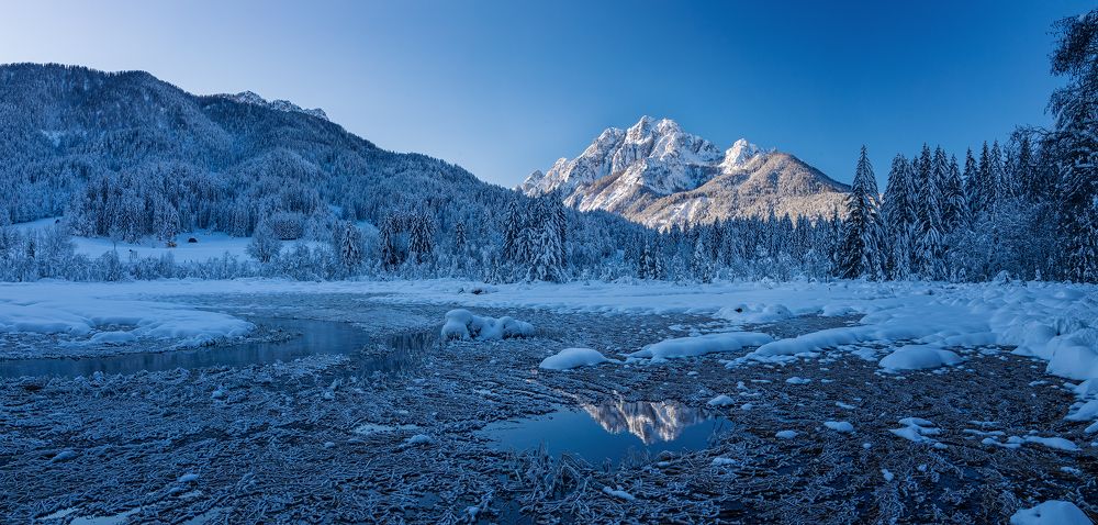 Reflection of winter