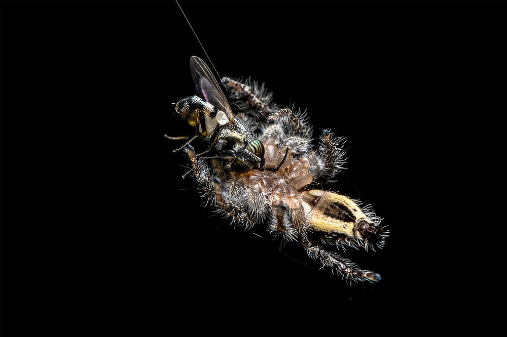 Photograph by ARUNAVA DEY