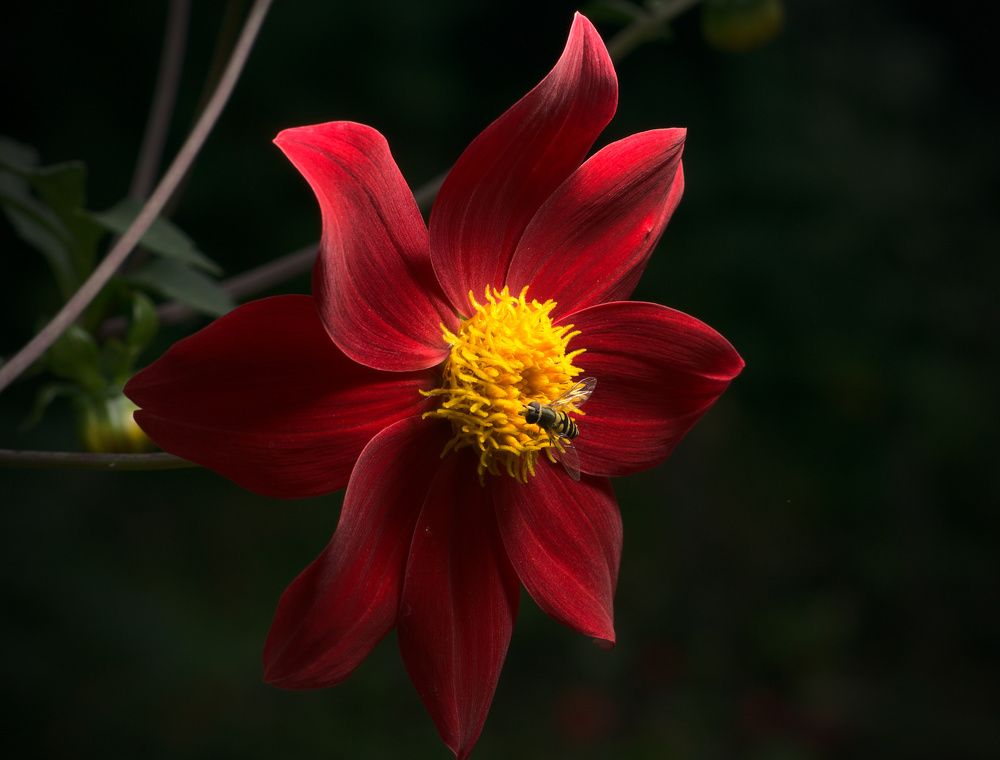 Photograph by Олег Каракин