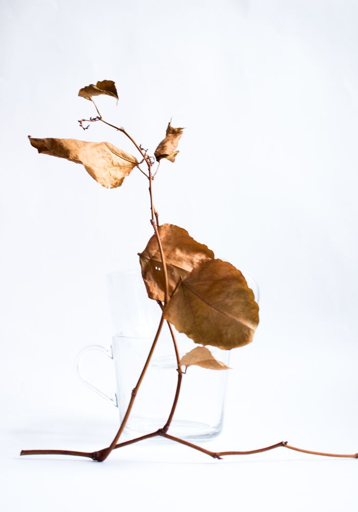 Photograph by Александра Ануфриева