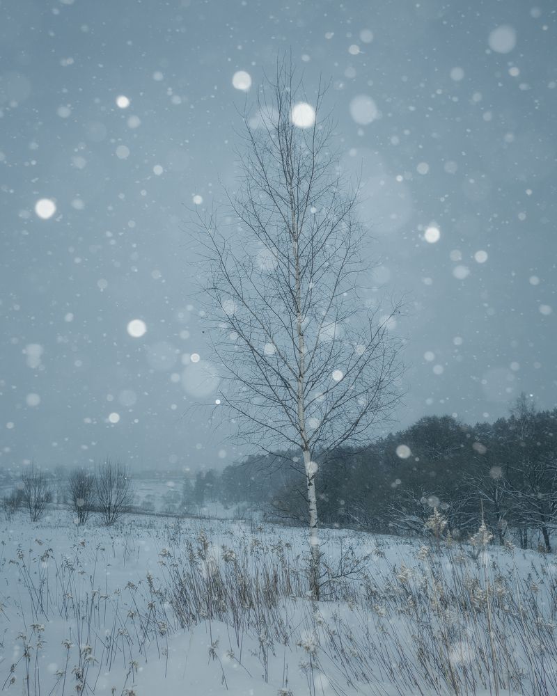 Фотография автора Мартыненко Дмитрий