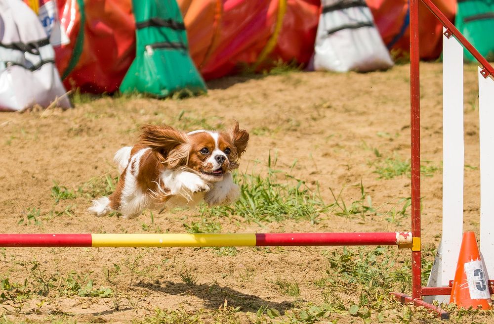 Photograph by наталья залогина