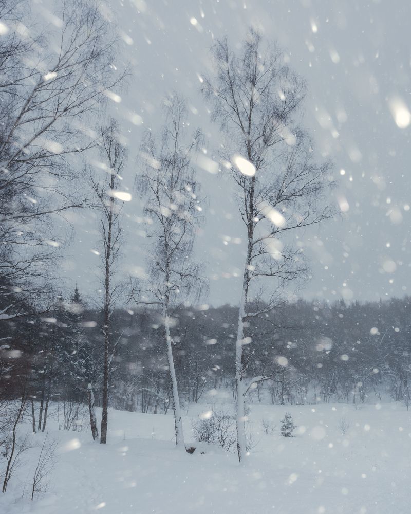 Фотография автора Мартыненко Дмитрий