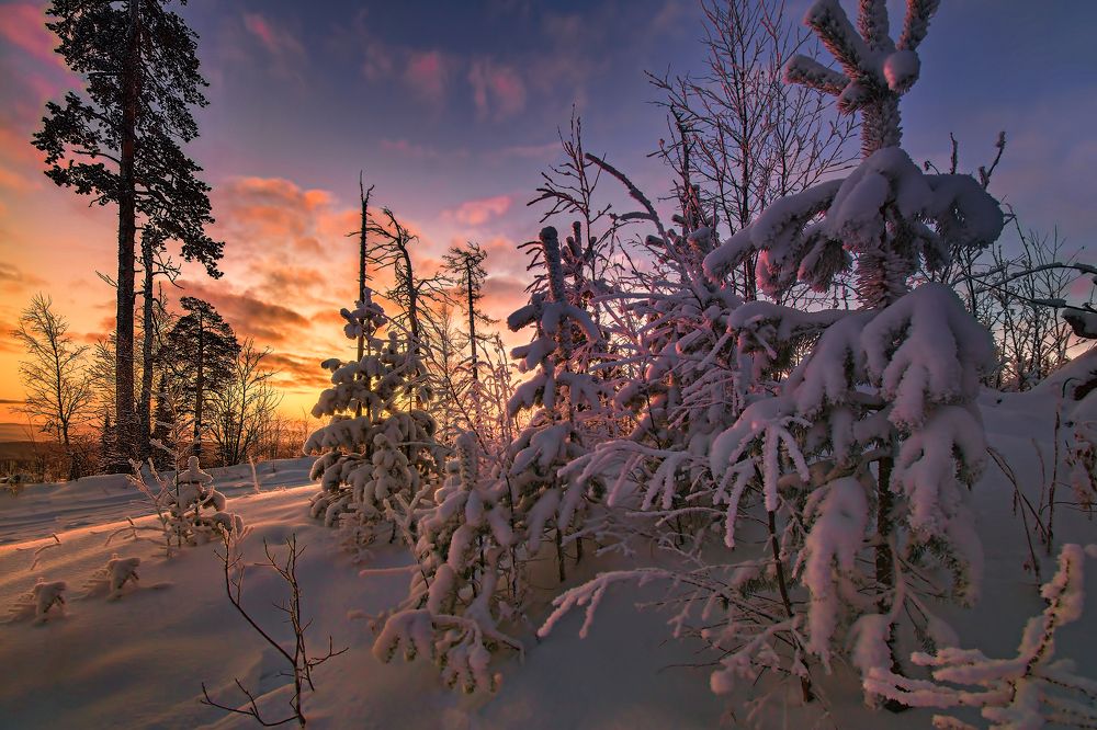 Photograph by Vladim Bormotov