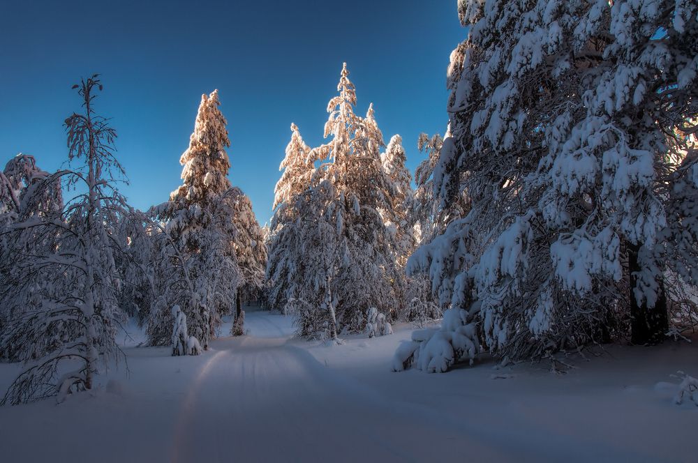 Photograph by Vladim Bormotov