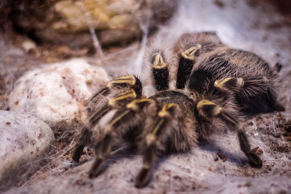 Photograph by iulia falo