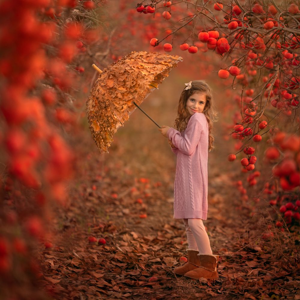 Photograph by Hamutal Avioz