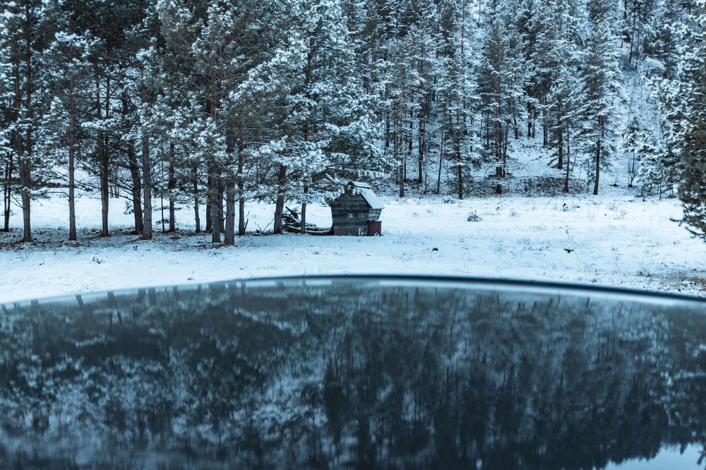 Photograph by ИРЕНА Федорова