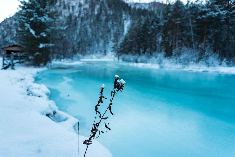 Photograph by ИРЕНА Федорова