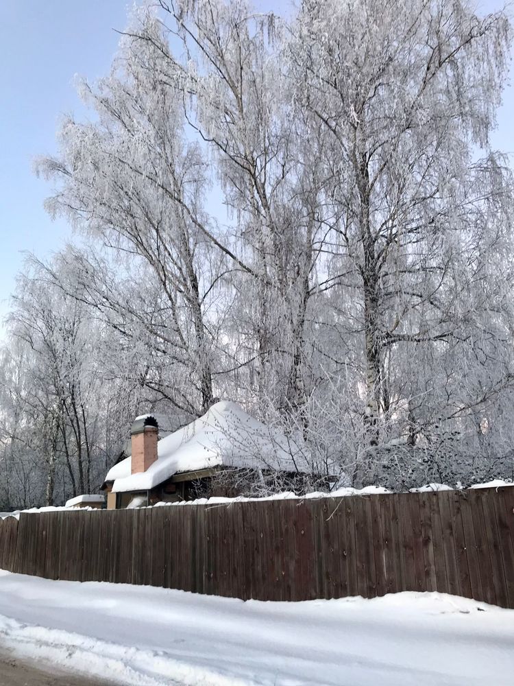 Фотография автора Татьяна Самойлова