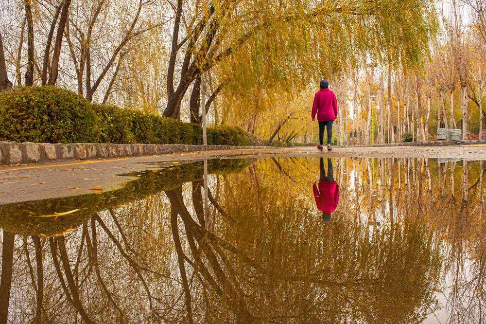 Photograph by Alireza Zaghian