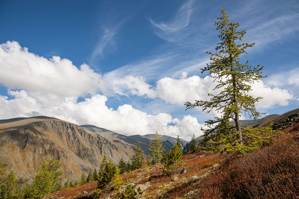 Photograph by Артём